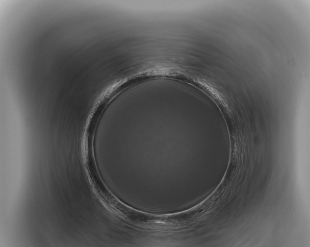 X0000116870678200912291320