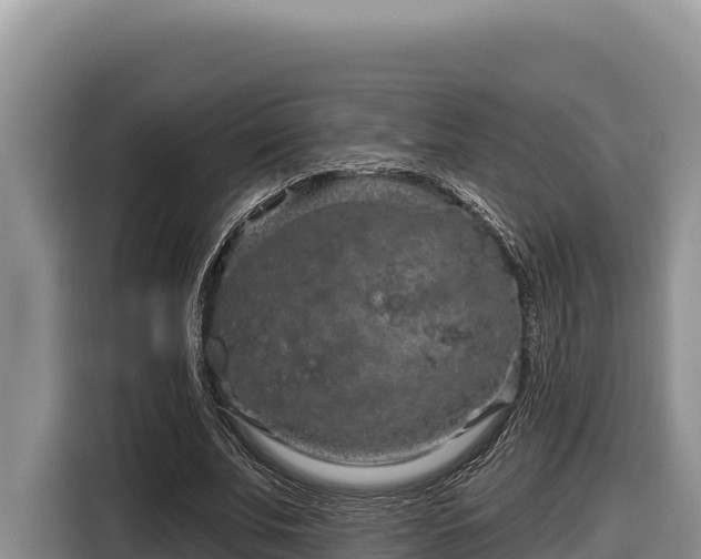 X0000116870679200912291320