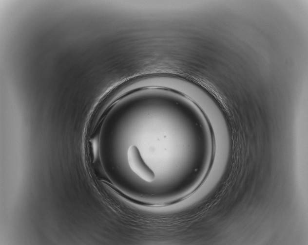 X0000116870680200912291320