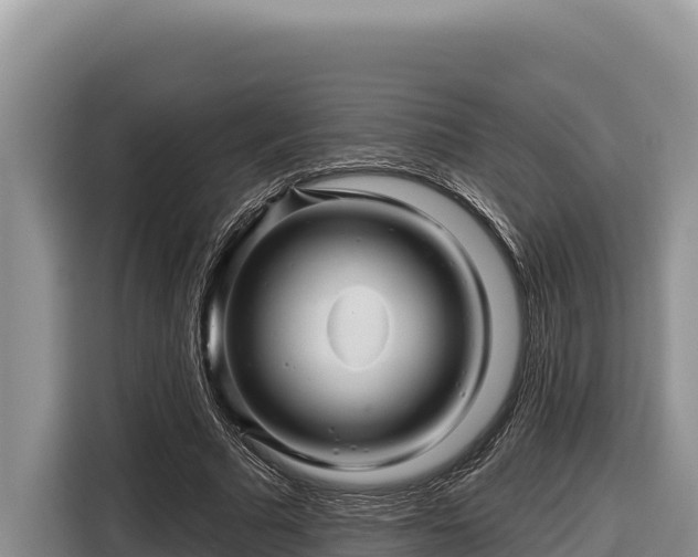 X0000116870681200912291320