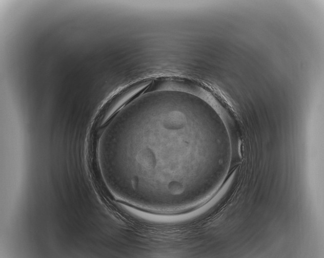 X0000116870684200912291320