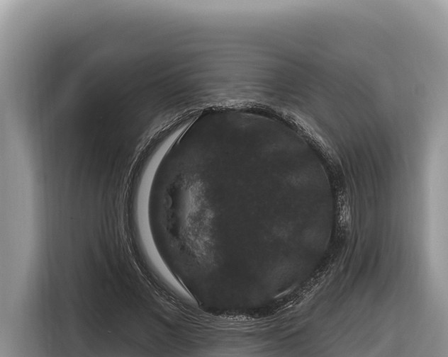 X0000116870685200912291320