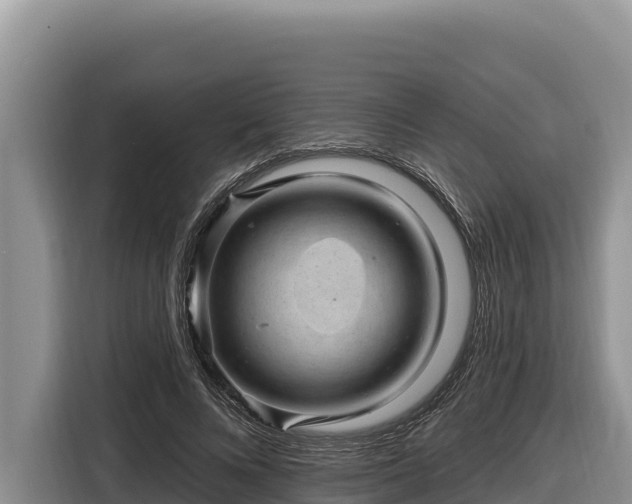 X0000116870688200912291320
