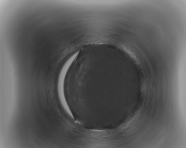 X0000116870689200912291320