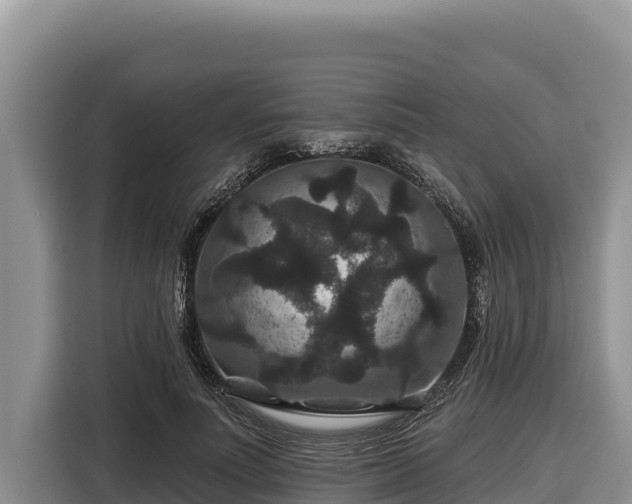 X0000116870691200912291320