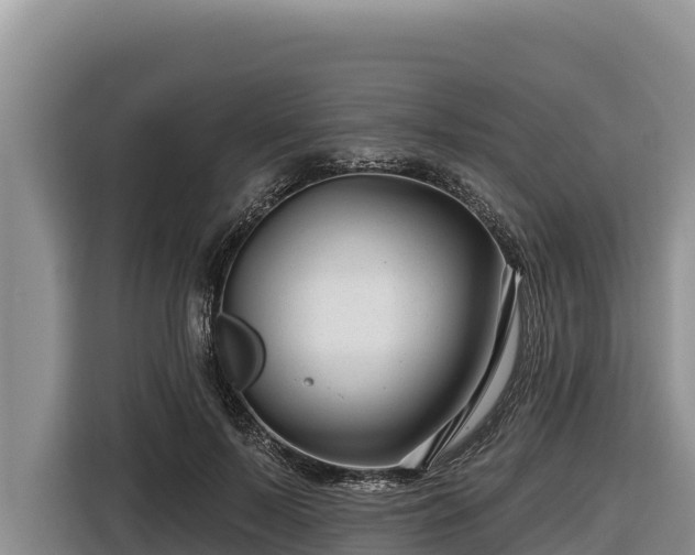 X0000116870695200912291320