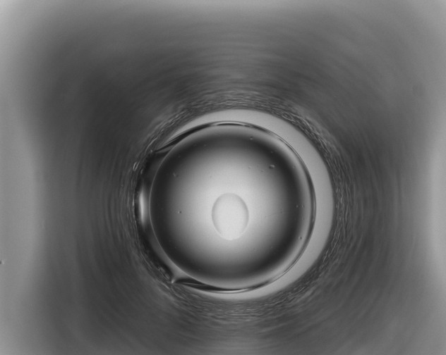 X0000116870696200912291320