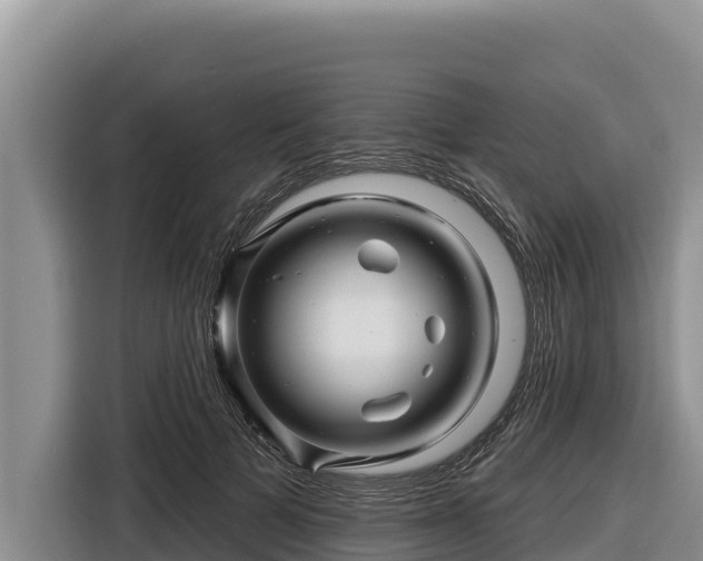 X0000116870697200912291320