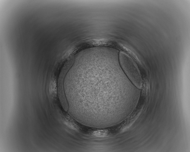 X0000116870700200912291320