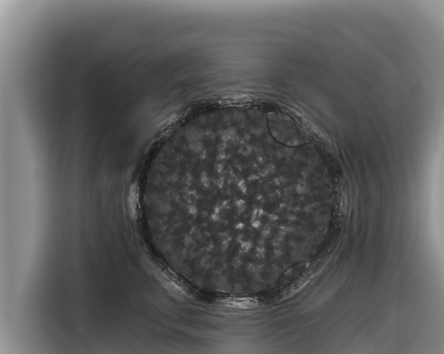 X0000116870711200912291319
