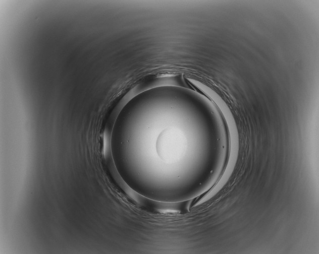 X0000116870713200912291319