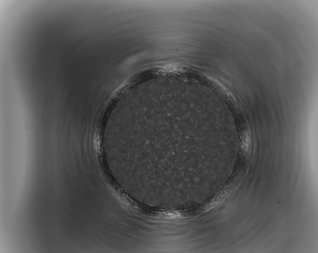 X0000116870715200912291319