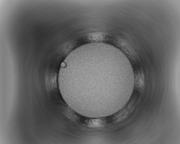 X0000116870717200912291319