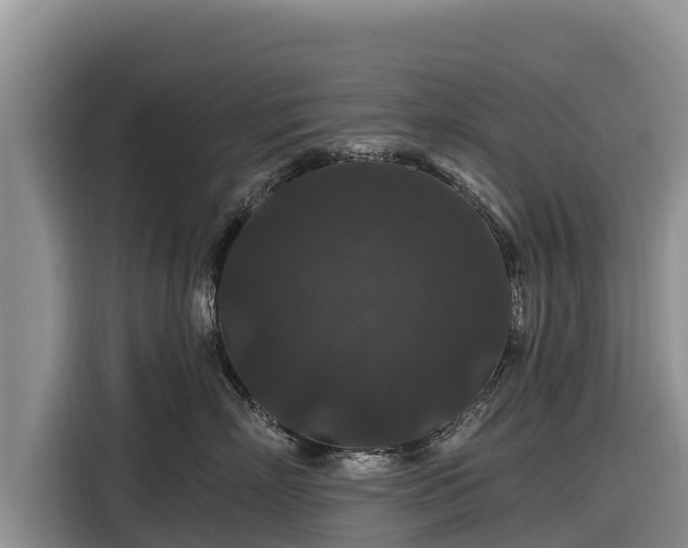 X0000116870718200912291319