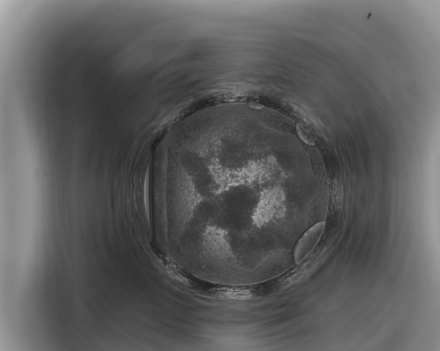 X0000116870719200912291319