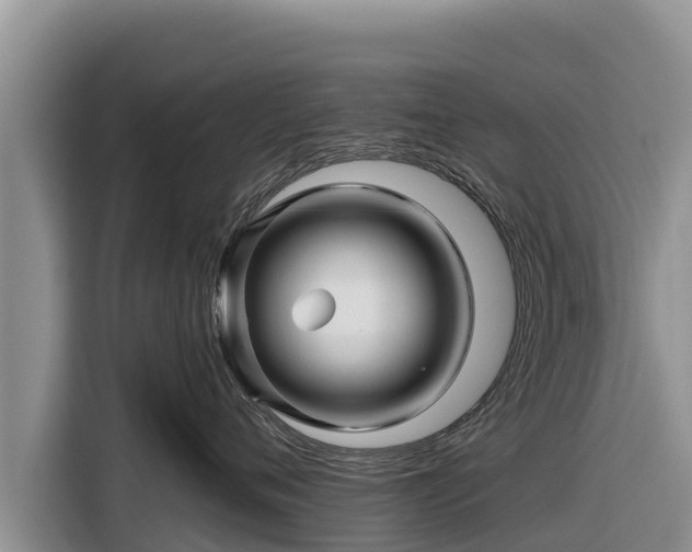 X0000116870720200912291319
