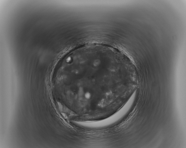 X0000116870721200912291319