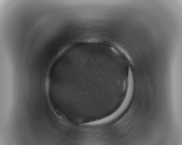 X0000116870722200912291319