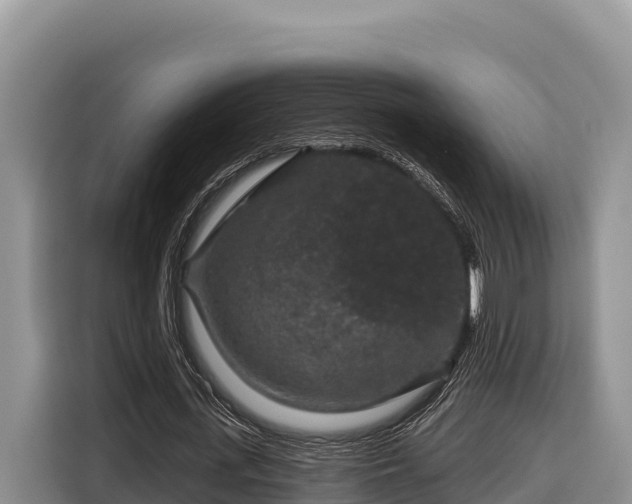 X0000116870723200912291319