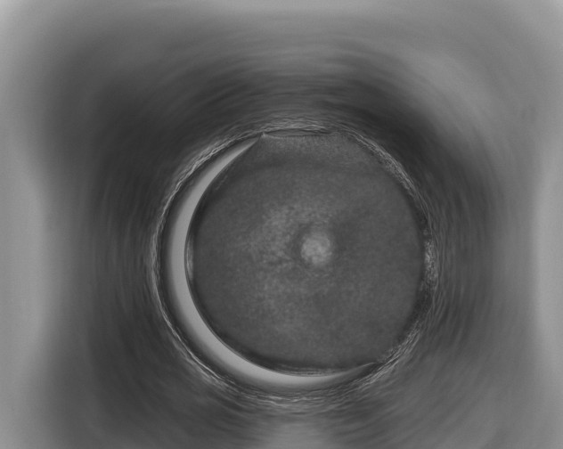 X0000116870725200912291319