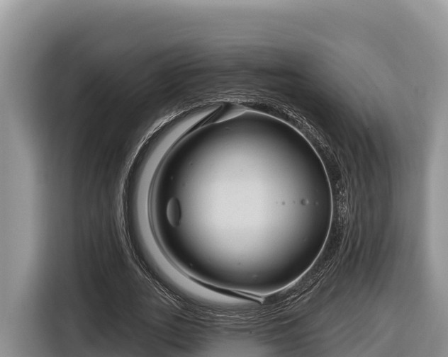 X0000116870727200912291319