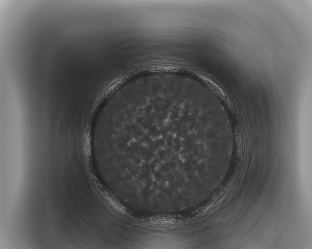 X0000116870729200912291319