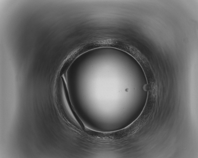 X0000116870731200912291319