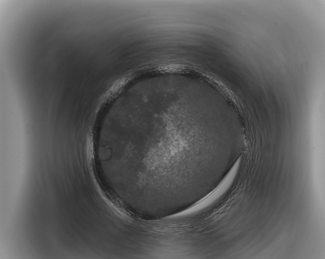 X0000116870734200912291319