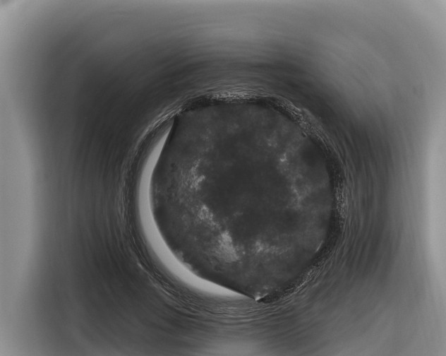 X0000116870735200912291319