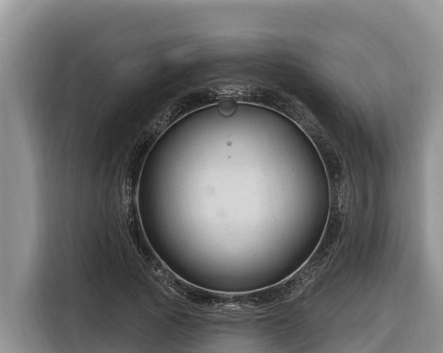 X0000116870737200912291319