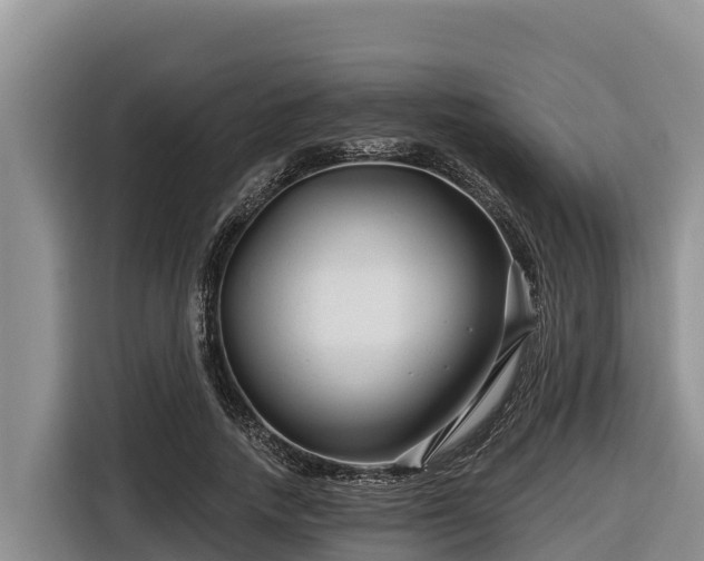 X0000116870738200912291319