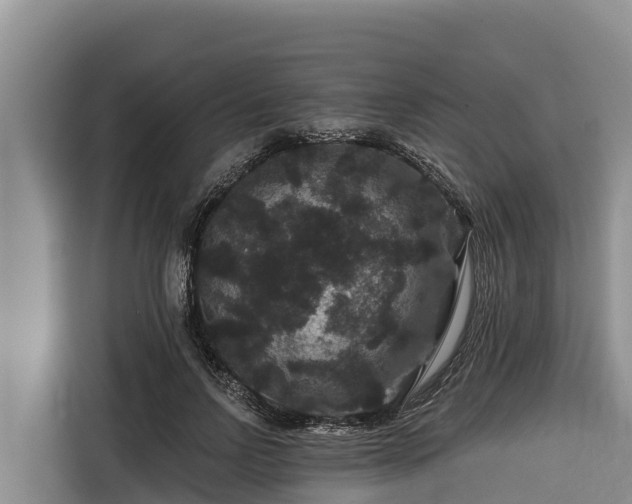 X0000116870742200912291319