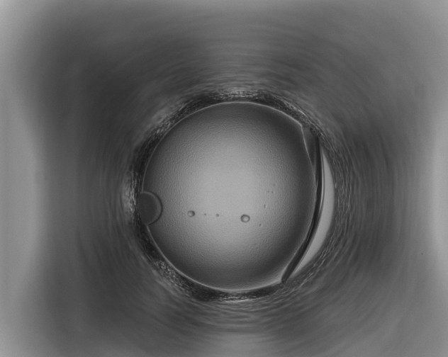 X0000116870746200912291319