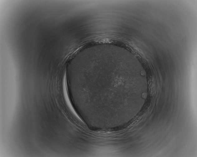 X0000116870747200912291319
