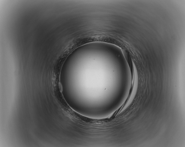 X0000116870750200912291319