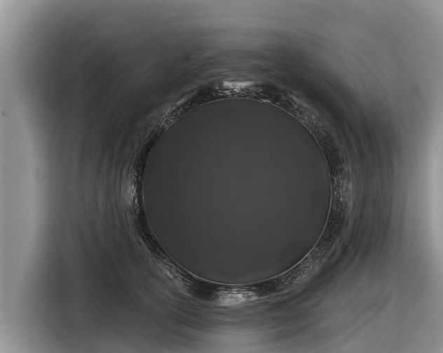 X0000116870754200912291319