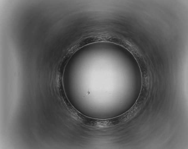 X0000116870757200912291319