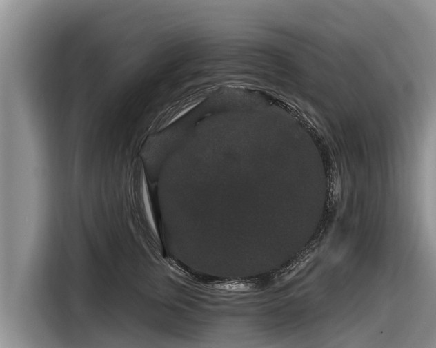 X0000116870759200912291319