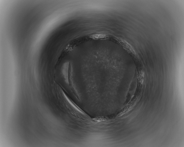 X0000116870763200912291319