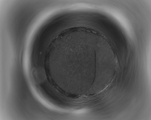 X0000116870765200912291319