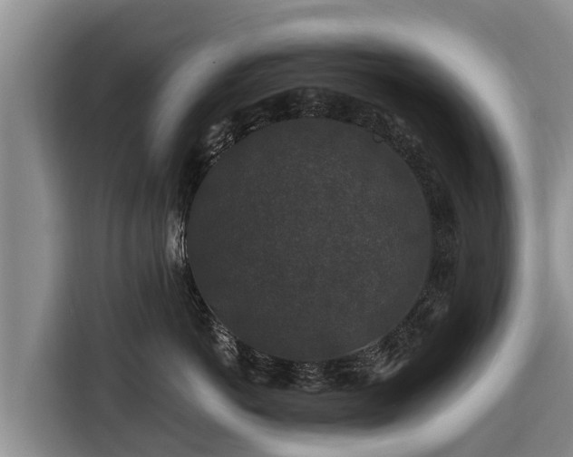 X0000116870766200912291319