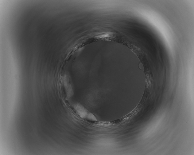 X0000116870767200912291319