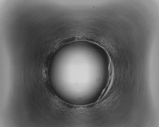 X0000116870770200912291319