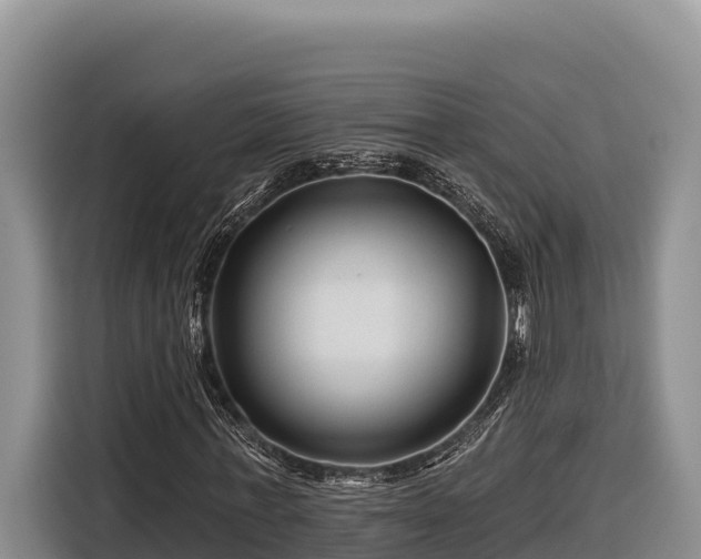 X0000116870771200912291319