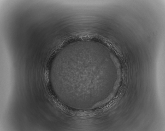 X0000116870772200912291319