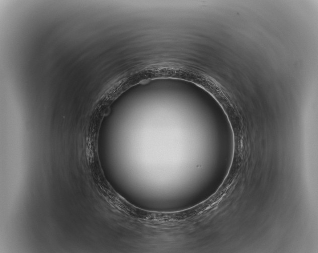 X0000116870774200912291319