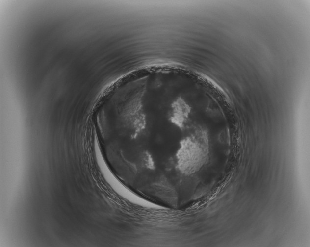 X0000116870775200912291319