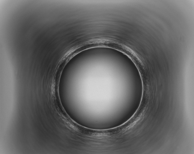X0000116870778200912291319