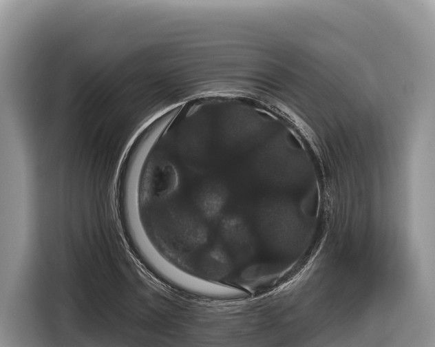 X0000116870779200912291319