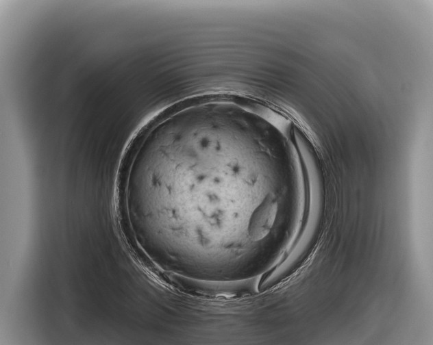 X0000116870780200912291319